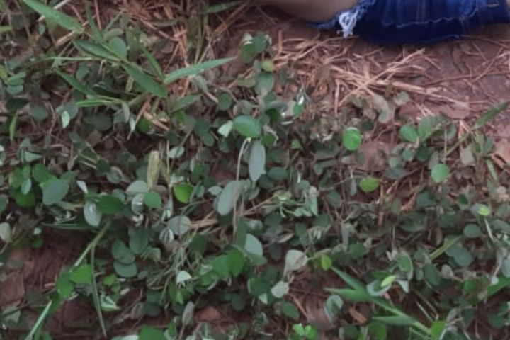 Captura-de-Tela-2021-10-28-as-190918-720x480