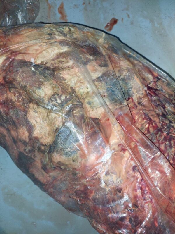 Apreensão-1-900x1200