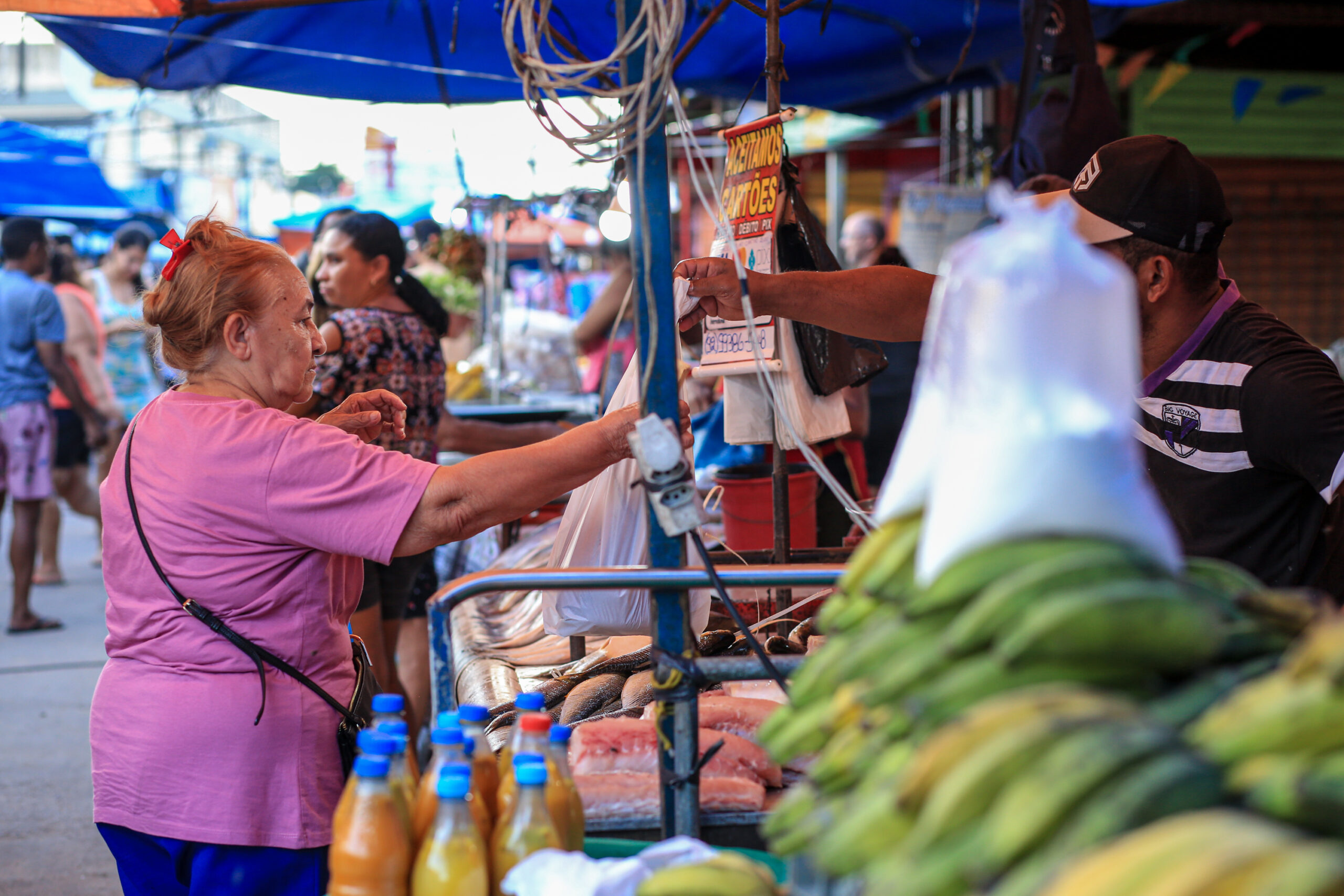 52263751721_63ab74cf33_o