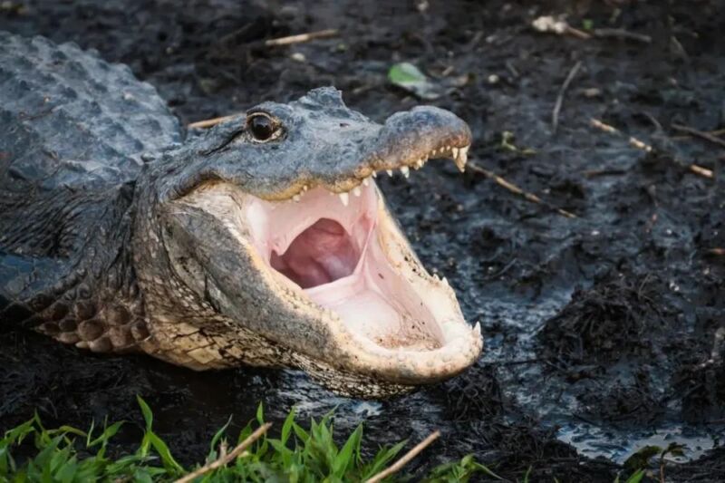 fbccd2250422cd3d8d502c7ad0fa28a3