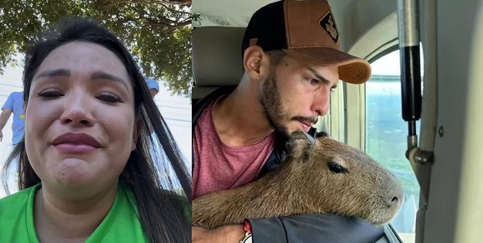 Joana diz que Ibama perseguiu Agenor e revela que capivara Filó está em gaiola inadequada