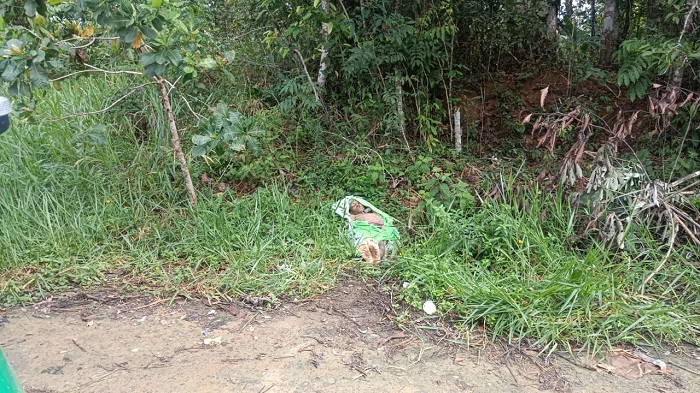 Corpo de homem é encontrado com corda amarrada no pescoço em Manaus