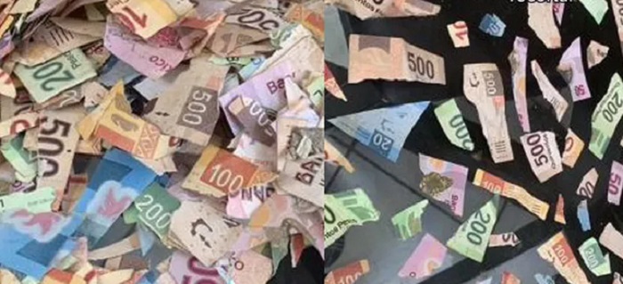 Criança de 4 anos confunde dinheiro com papel colorido e faz 'arte'