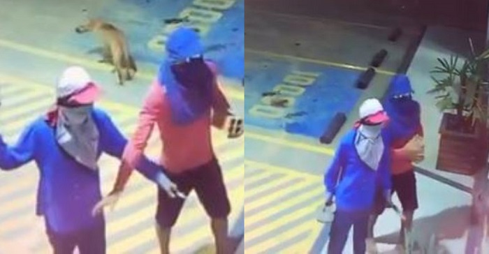 VÍDEO Bandidos tocam o terror durante assalto em posto de combustíveis em Manaus