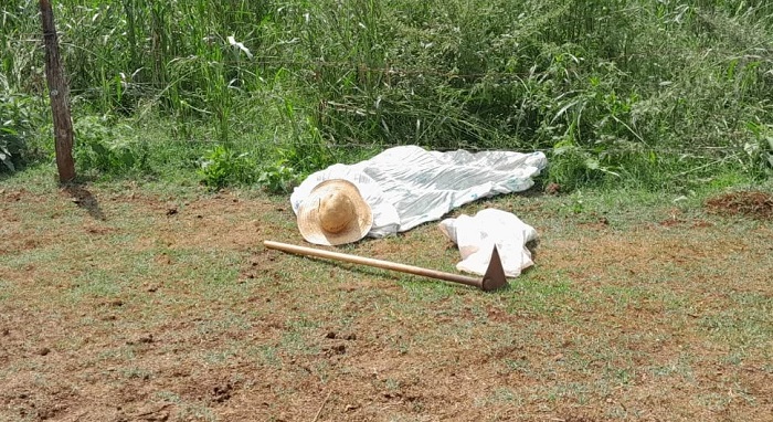 Corpo em decomposição é encontrado por trabalhador em lavoura