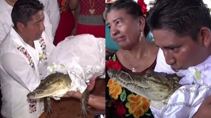 Prefeito se casa com crocodilo em ritual ancestral de prosperidade