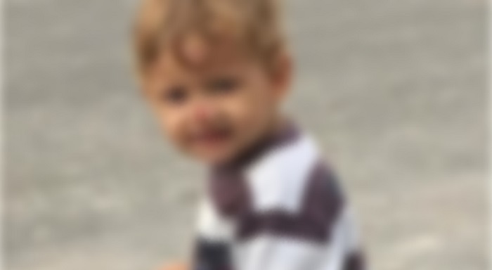 Cão da raça pitbull ataca e mata criança de 2 anos; vídeo