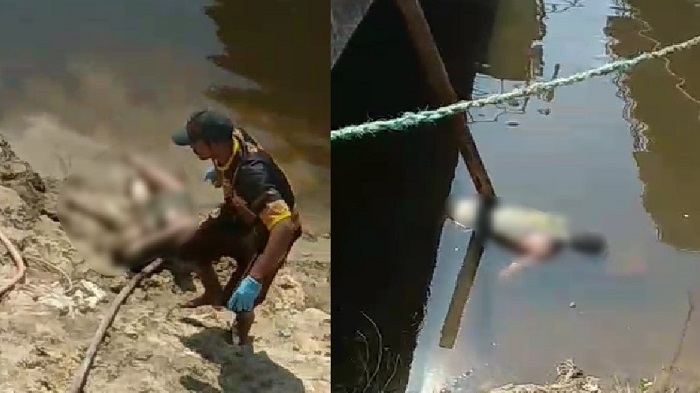 Corpo de homem é resgatado com o rosto devorado por peixes; só sobraram os dentes