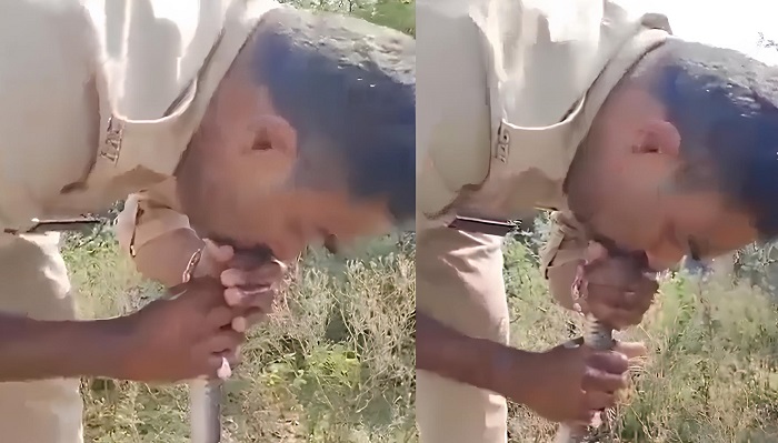 Policial faz respiração boca a boca para salvar vida de cobra intoxicada