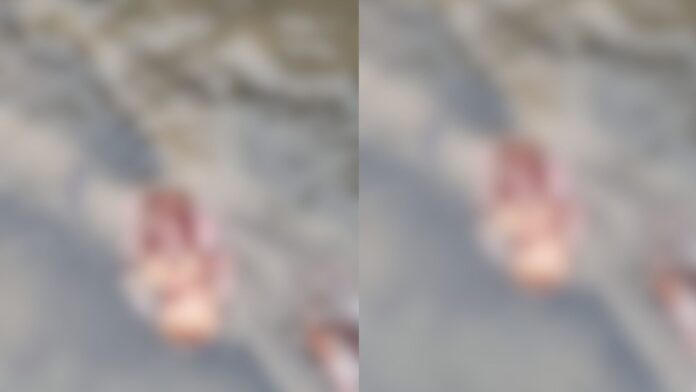 VÍDEO Feto humano é encontrado dentro de igarapé no bairro Alvorada