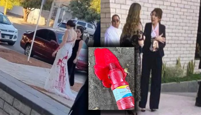 BeFunky-collage-2024-02-29T135720.625-1