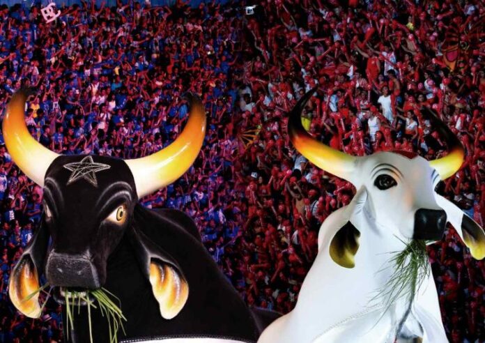 AMAZONASTUR-3-1-754x533-1-1