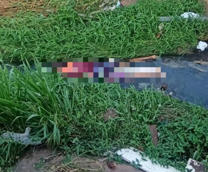 WhatsApp Image 2024-07-12 at 10.26.43