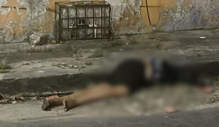 corpo-manaus-d24am-5