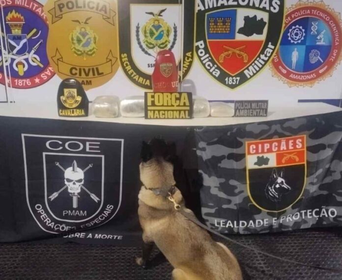 44e20f13-ebf4-422f-9941-6ecab6c582d7-1536x1006 (1)