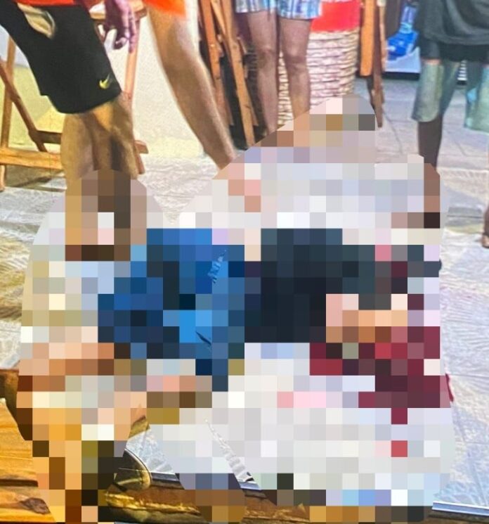 733d60a5-0885-496f-8ae2-3c52ecc5c73e