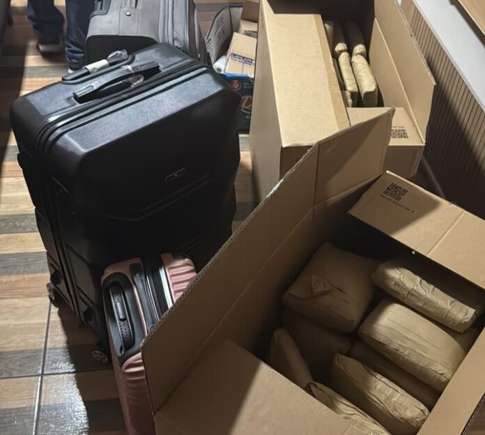 62f309cf-49a1-46c1-8001-487387e8177a