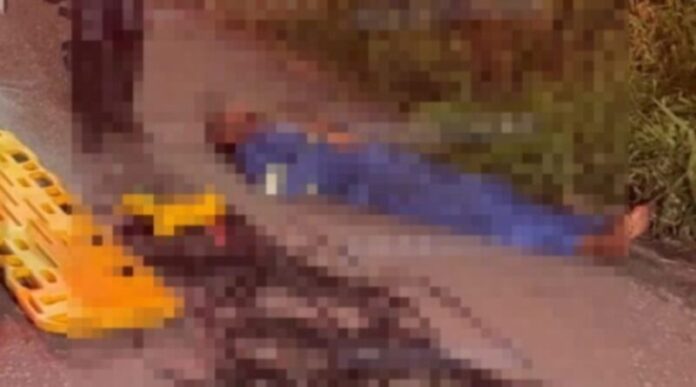 WhatsApp Image 2025-07-16 at 09.18.43