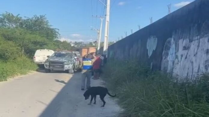 captura-de-tela-2025-07-09-091626