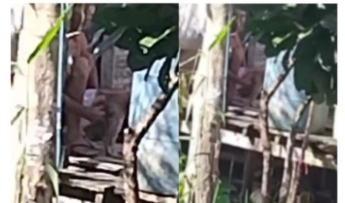 flagrado-abusando-de-cadela-d24am