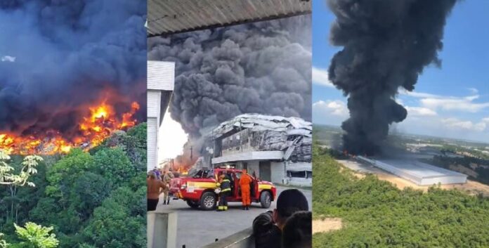 VEJA Incêndio em fábrica segue sem controle e ameaça área de mata no Distrito Industrial II