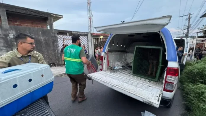 Divulgacao_Sepet-6-e1764252741156