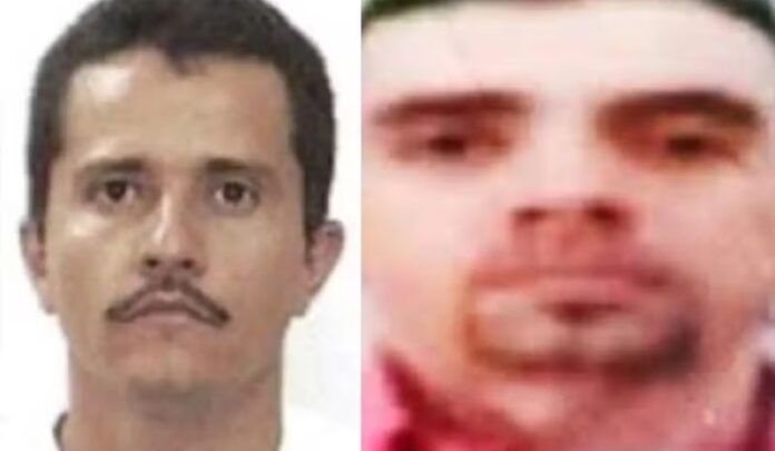 el_tuli_el_mencho_d24am