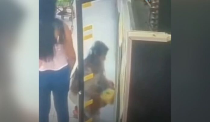 furto_queijos_manaus_d24am (1)